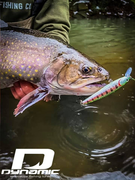 Jerkbaits for Trout