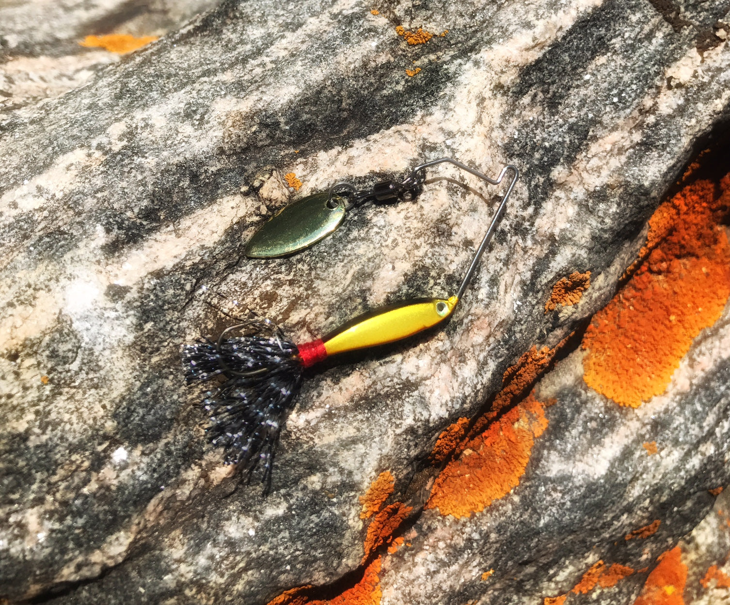Spinnerbaits for Small Species