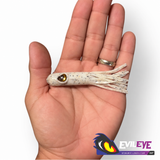 Evil Eye Laker Tube