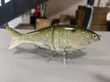 Swimbait/Glidebait Prototype