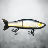 Swimbait/Glidebait Prototype