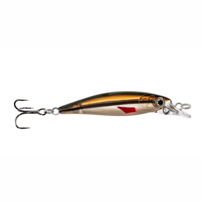 Redfin Shiner -