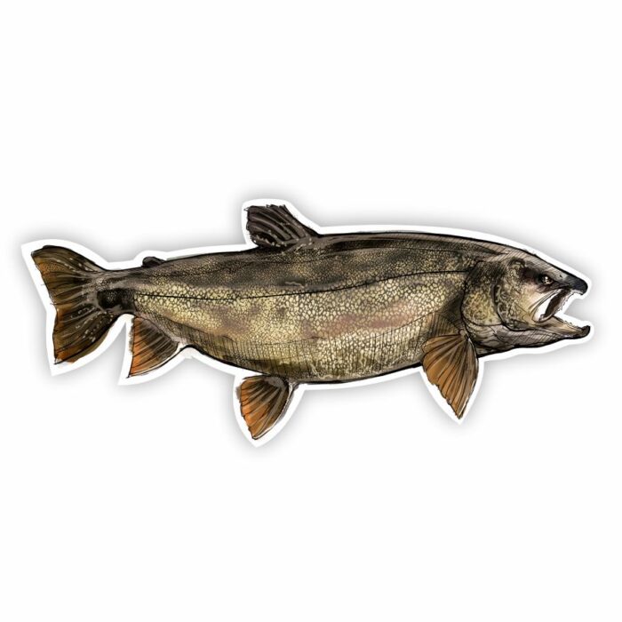 Lake Trout Decal